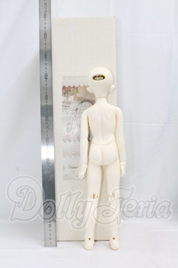 画像7: SDM女の子/F-64　コーディネートモデル I-26-03-15-324-KD-ZI (7)