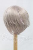画像2: 8.5-9inch/ウィッグ I-26-03-15-143-KD-ZI (2)