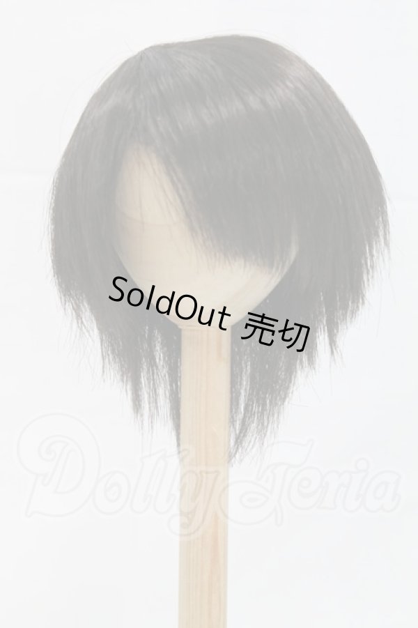 画像1: 8-9inch/ウィッグ I-26-03-15-137-KD-ZI (1)