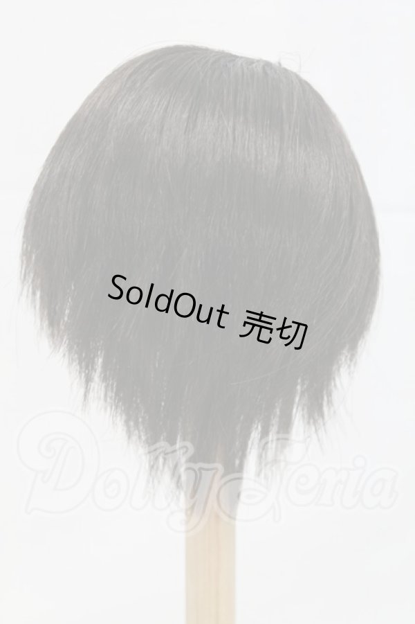 画像2: 8-9inch/ウィッグ I-26-03-15-137-KD-ZI (2)