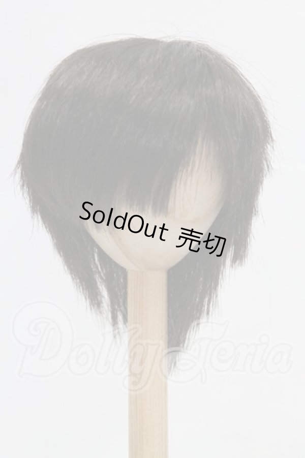 画像1: 8-9inch/ウィッグ I-26-03-15-138-KD-ZI (1)