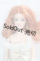 画像: Barbie Signature / Holiday Barbie I-26-03-29-111-KD-ZI