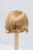 画像2: 6-7inch/ウィッグ I-26-04-05-209-KD-ZI (2)