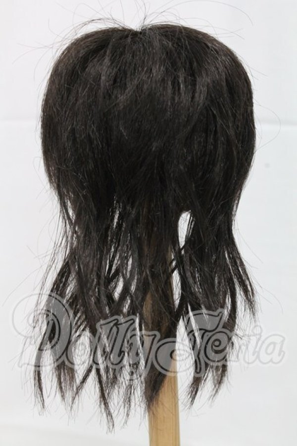 画像2: 9inch/ウィッグ I-26-03-22-231-KD-ZI (2)