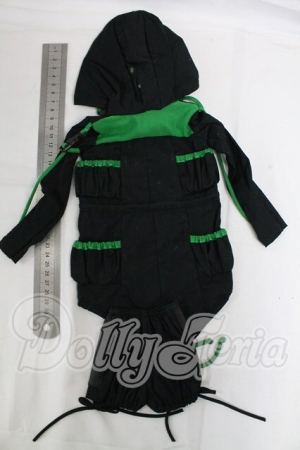 画像2: DD/OF:衣装セット I-26-03-29-208-KD-ZI (2)