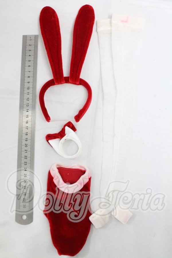 画像2: DD/OF:衣装セット I-26-03-29-223-KD-ZI (2)