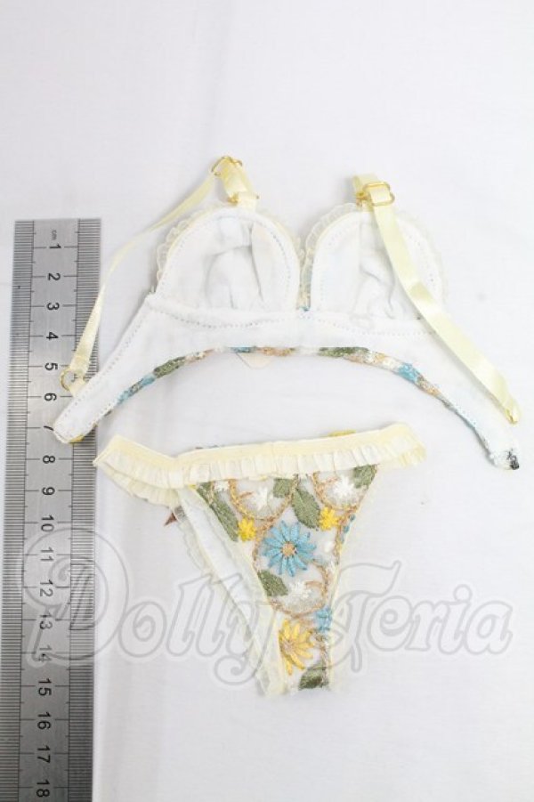 画像2: DD/OF:下着 I-26-03-29-293-KD-ZI (2)