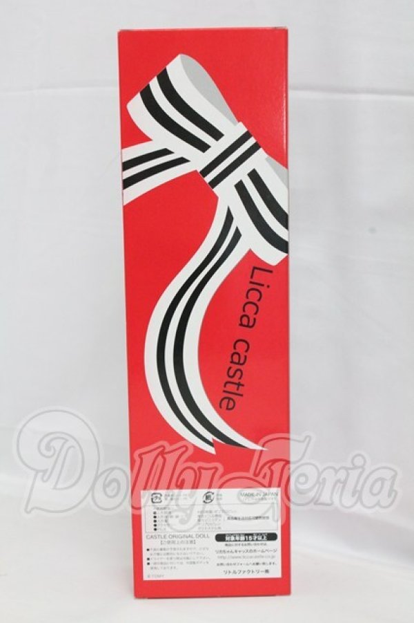 画像5: キャッスル/みらい 2014年日本橋BASICモデル I-26-03-22-357-KD-ZI (5)