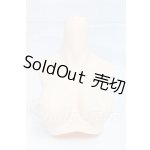 画像: オビツ50ｃｍ/上半身パーツ I-26-03-22-226-KD-ZI