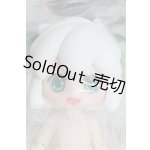 画像: SIMONTOYS/羅小黒戦記 I-26-03-29-093-KD-ZI