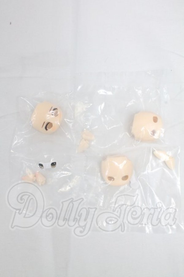 画像1: 秘境巡礼/アスタ I-26-03-29-065-KD-ZI (1)