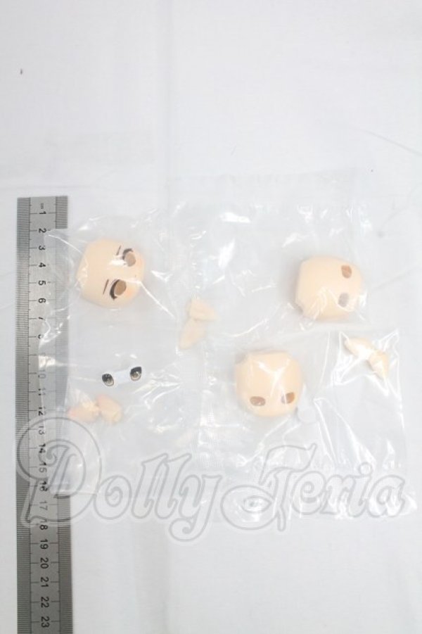 画像2: 秘境巡礼/アスタ I-26-03-29-065-KD-ZI (2)