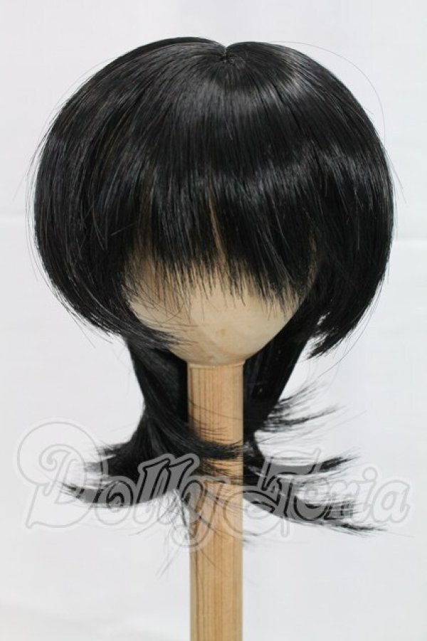 画像1: 8-8.5inch/ウィッグ I-26-03-22-393-KD-ZI (1)