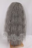 画像2: 8-9inch/ウィッグ I-26-04-26-145-KD-ZI (2)