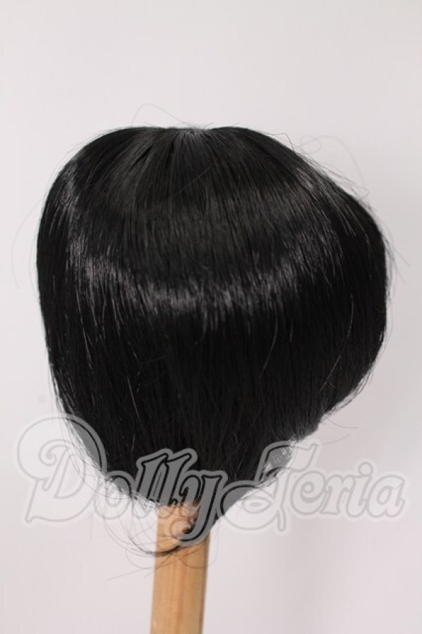 画像2: 8-9inch/ウィッグ I-26-04-26-146-KD-ZI (2)