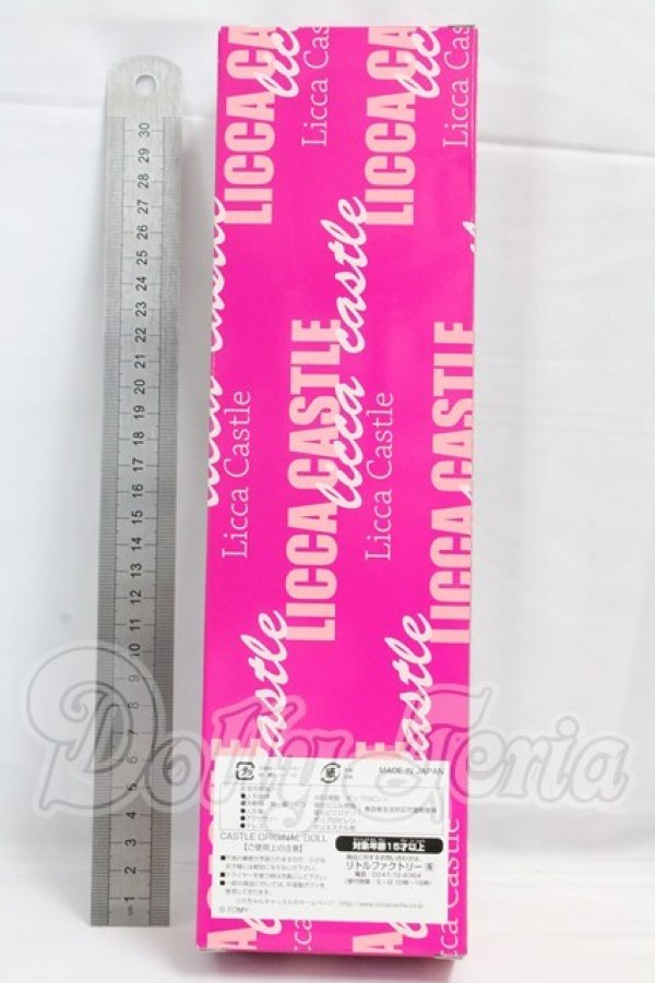 画像5: キャッスル/マリー 2022年7月月間ドール I-26-04-05-074-KD-ZI (5)