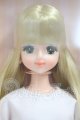 画像: リカちゃんキャッスル/モデルNo.12431 初代ジェニー:2021年日本橋BASICモデル I-26-04-05-080-KD-ZI