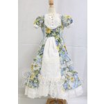 画像: SD/OF:ドレス I-26-04-05-271-KD-ZI