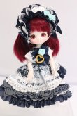 画像4: ミニスウィーツドール/ローズマリー　スマイル I-26-04-12-092-KD-ZI (4)