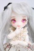 画像1: ミニスウィーツドール/カスタムメイク I-26-04-12-093-KD-ZI (1)