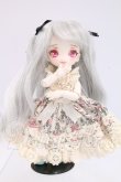 画像4: ミニスウィーツドール/カスタムメイク I-26-04-12-093-KD-ZI (4)