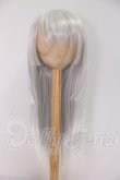 画像1: 8-9inch/ウィッグ：ronronshuka様製 I-26-04-12-004-KD-ZI (1)