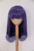 画像1: 9inch/ウィッグ I-26-04-12-009-KD-ZI (1)