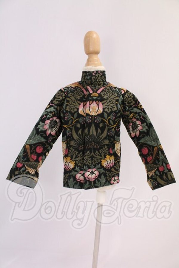 画像1: SD/OF:トップス I-26-04-12-034-KD-ZI (1)