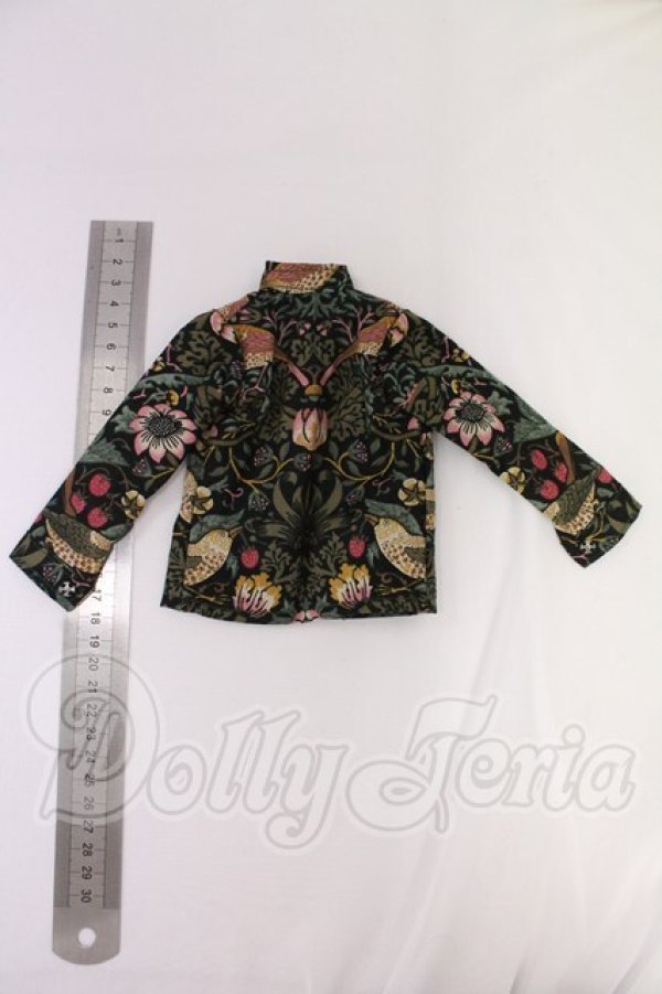 画像2: SD/OF:トップス I-26-04-12-034-KD-ZI (2)