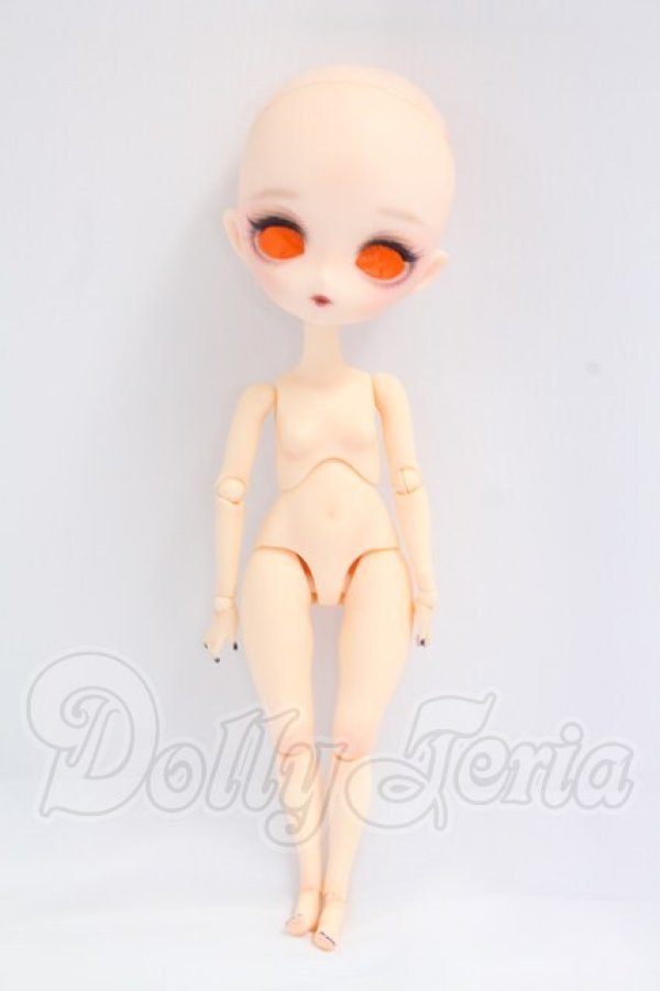 画像4: ハルモニアブルーム/カスタムヘッド Harmonia bloom I-26-04-12-104-KD-ZI (4)