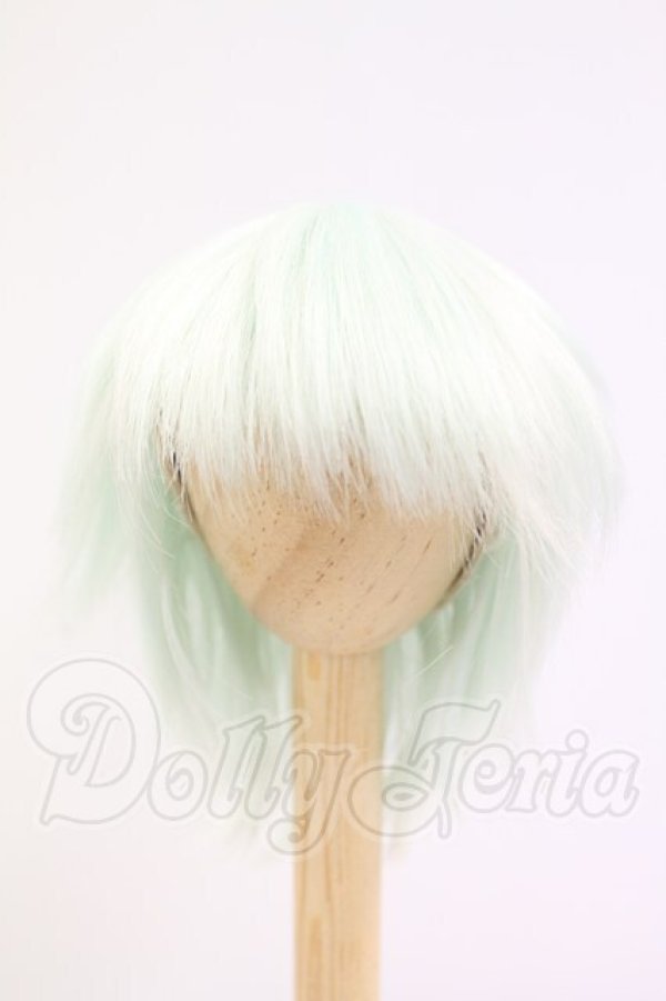 画像1: 7-8inch/ウィッグ I-26-04-19-169-KD-ZI (1)