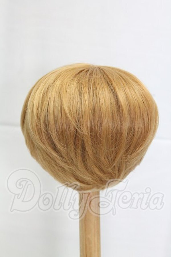 画像2: 8-9inch/ウィッグ I-26-04-05-287-KD-ZI (2)