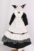 画像1: MDD/OF:衣装セット I-26-05-07-196-KD-ZI (1)