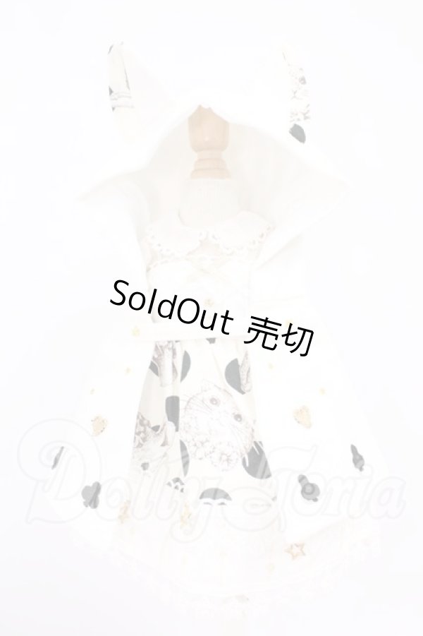 画像1: MDD/OF:衣装セット I-26-04-19-215-KD-ZI (1)