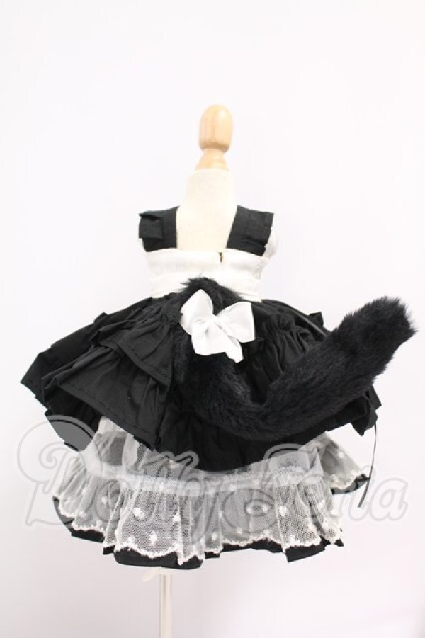 画像2: MDD/OF:衣装セット I-26-04-19-213-KD-ZI (2)