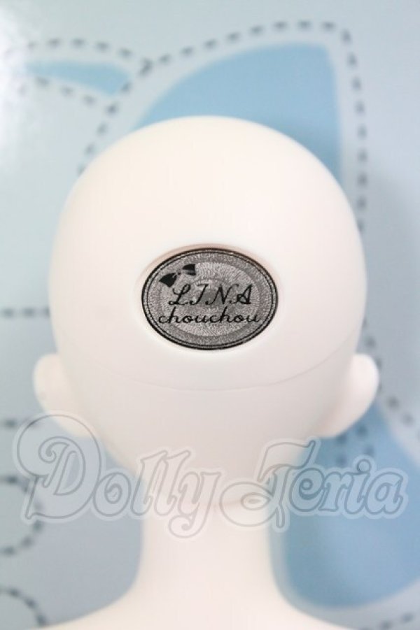 画像6: LINA CHOUCHOU/Tokki in Wonderland (Fillette Ver.) I-26-04-05-349-KD-ZI (6)