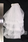 画像6: DD/OF:ディーラー製ランジェリー衣装セット I-26-05-07-094-KD-ZI (6)