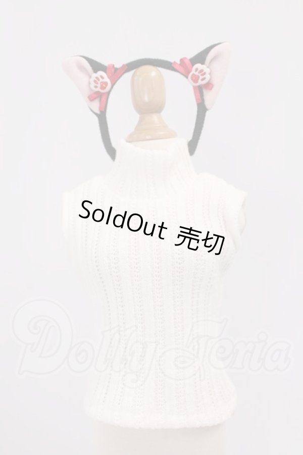 画像1: DD/OF:衣装セット I-26-04-30-032-KD-ZI (1)