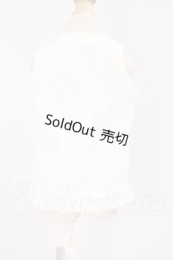 画像2: SDM&MSD/OF:トップス I-26-04-19-017-KD-ZI (2)