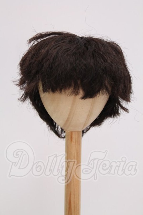 画像1: 8-9inch/ウィッグ I-26-04-19-135-KD-ZI (1)