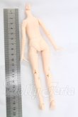 画像2: azone/ピュアニーモフレクションXS女の子ボディ I-26-04-12-099-KD-ZI (2)