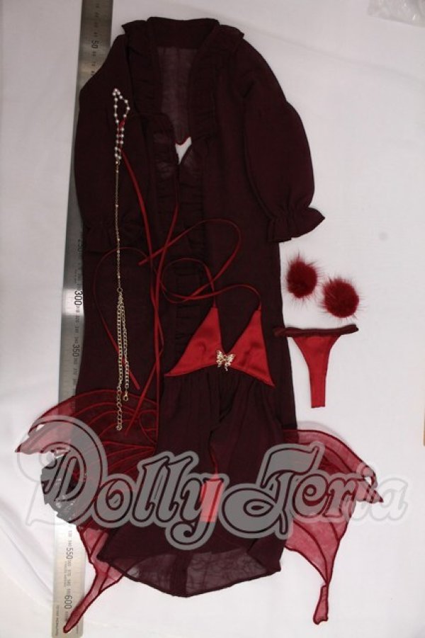 画像3: DD/OF:衣装セット I-26-04-30-017-KD-ZI (3)