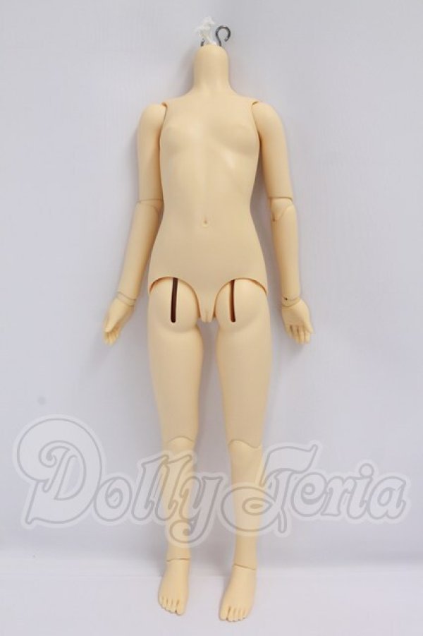 画像1: SDGIRL/ボディ・一体型：単関節 I-26-04-26-373-KD-ZI (1)