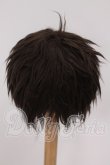 画像2: 8-9inch/ウィッグ I-26-04-26-128-KD-ZI (2)