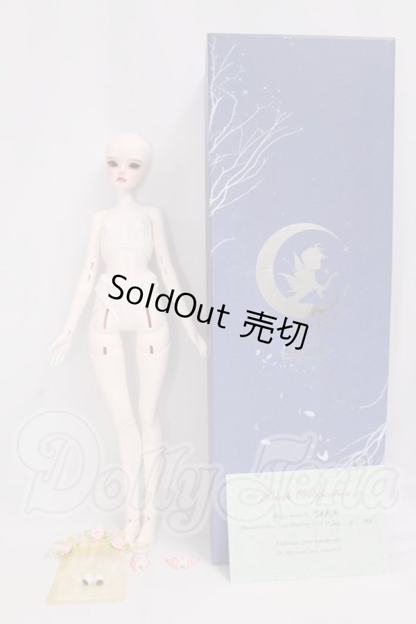画像7: Huajing Doll/1/4 Emilia (艾米莉?) I-26-04-19-388-KD-ZI (7)