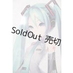画像: DD/初音ミク I-26-04-19-400-KD-ZI