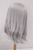 画像2: 8-9inch/ウィッグ I-26-04-26-105-KD-ZI (2)