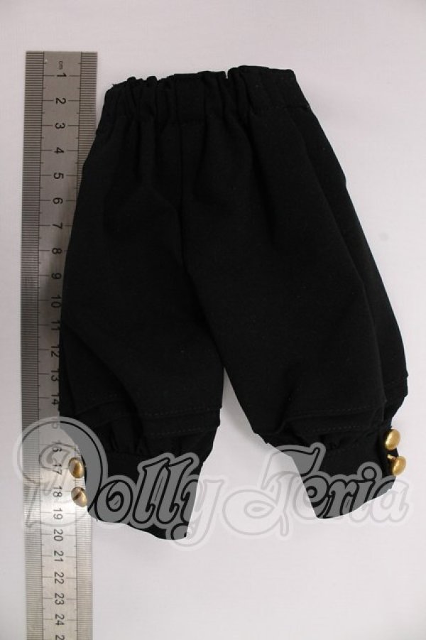 画像3: SDM/OF:パンツ　velvet＊paw様製 I-26-04-26-344-KD-ZI (3)