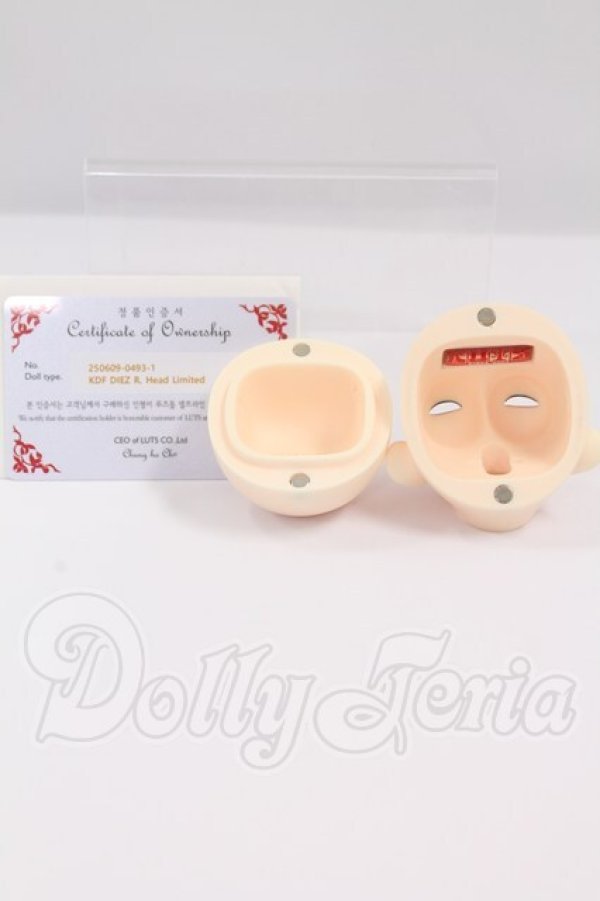 画像5: LUTS/Kid45 Delf DIEZ ヘッド：Romance ver Limited I-26-04-26-259-KD-ZI (5)
