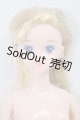 画像: ジェニーフレンド/ティモテ本体+衣装 I-26-05-07-006-KD-ZI